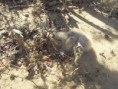 /album/fotogaleria-inicio/sdc10141-jpg/